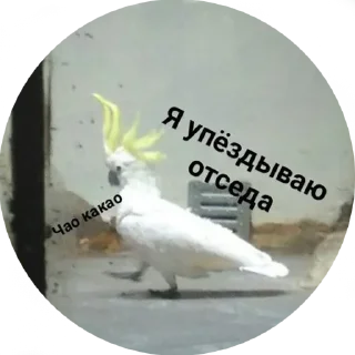 😠