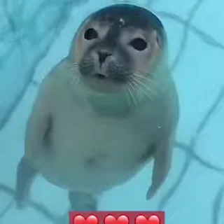❤️