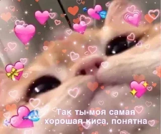 💕