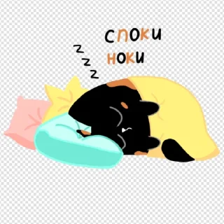 😴
