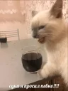 🍺