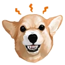 🐶