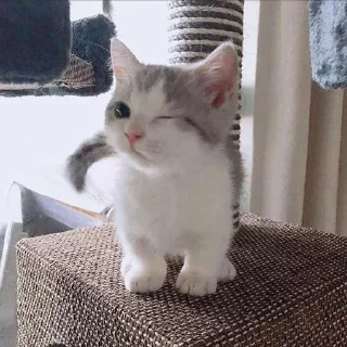 😉