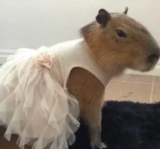 👰‍♀