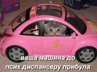 🚘