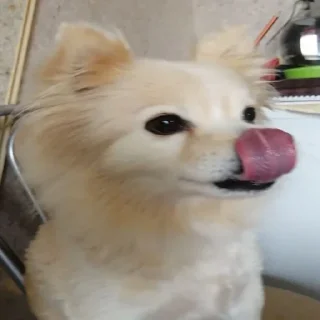 😋