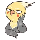 @zeligen7 chii parrot