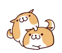 🐶