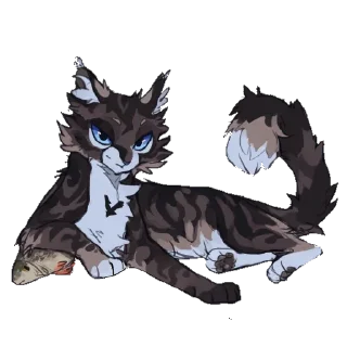 🐱