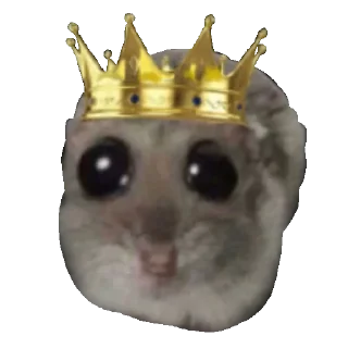 👑