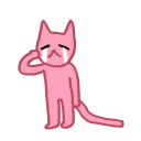 😿