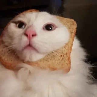 🍞