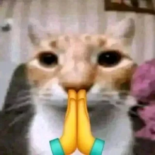 🙏