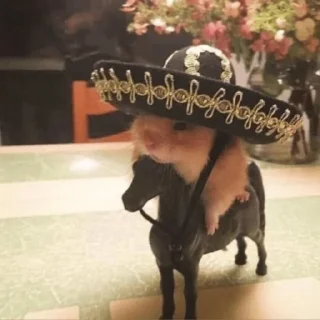 🤠