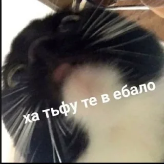 😘
