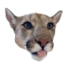 Мемная Пума(Кугуар, Mountain Lion, Puma Concolor) @TgEmodziBot