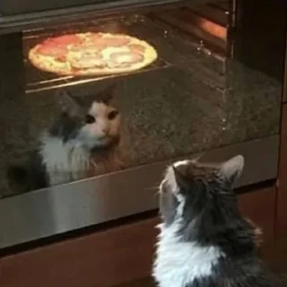 🍕