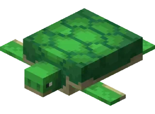 🐢