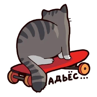 🛹