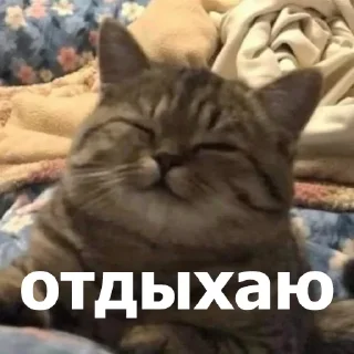 😌