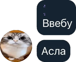 😋