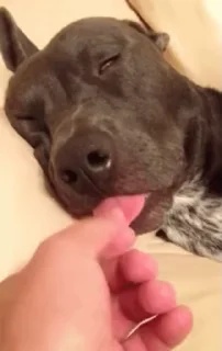 😋