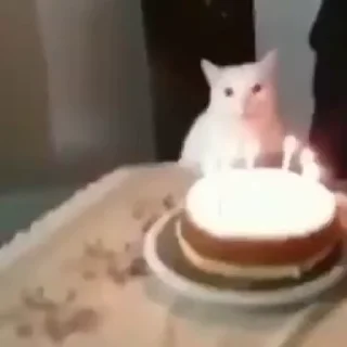 🎂