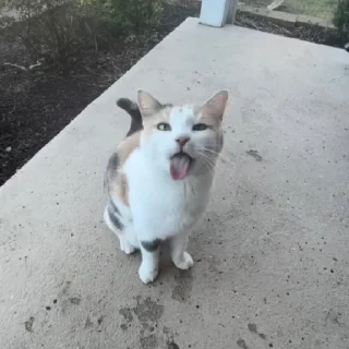 😛