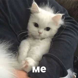 😛