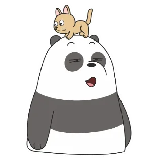 🐱