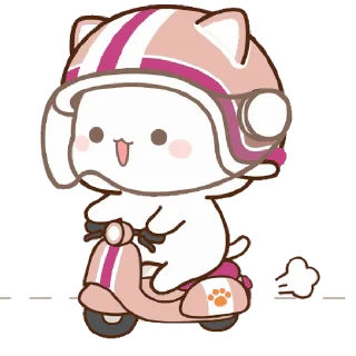 🛵