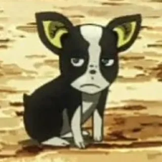 🐕