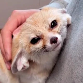😌