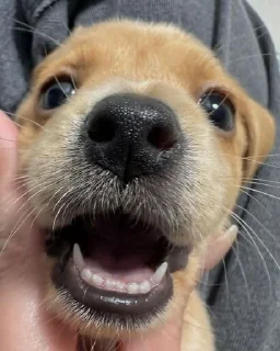 😆