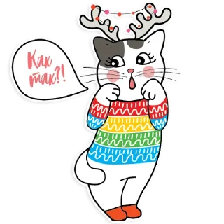 🙀