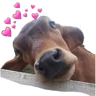 🥰