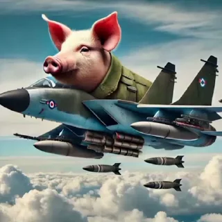 🐷