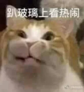 😑