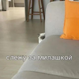 😍
