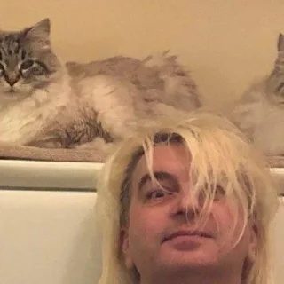 🐱
