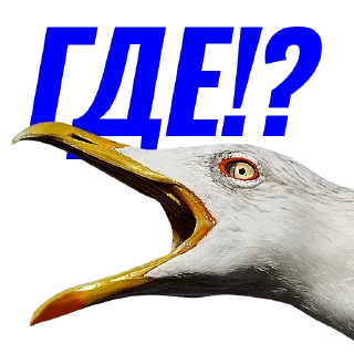 ❔