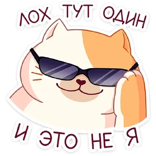 😎