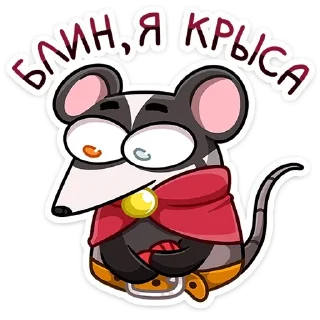 🐁