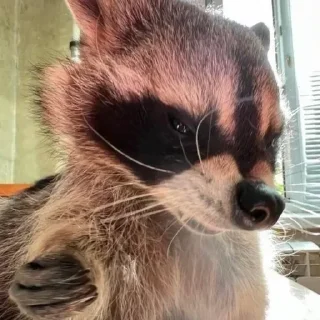 😠