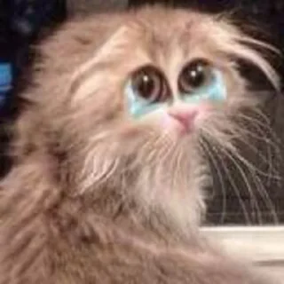 😢