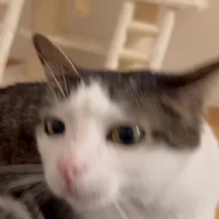 🧐