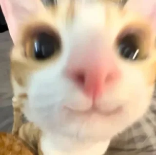 💫