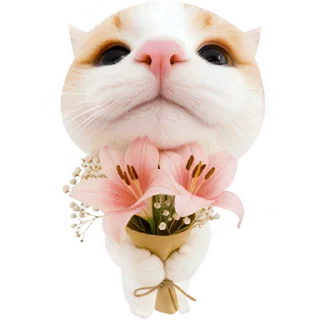 💐