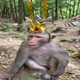 🤴
