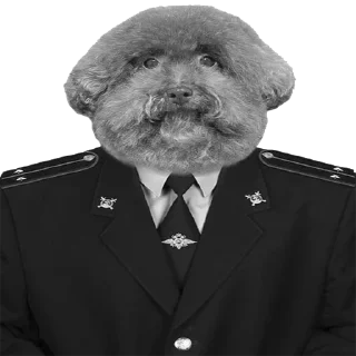 👮‍♂️